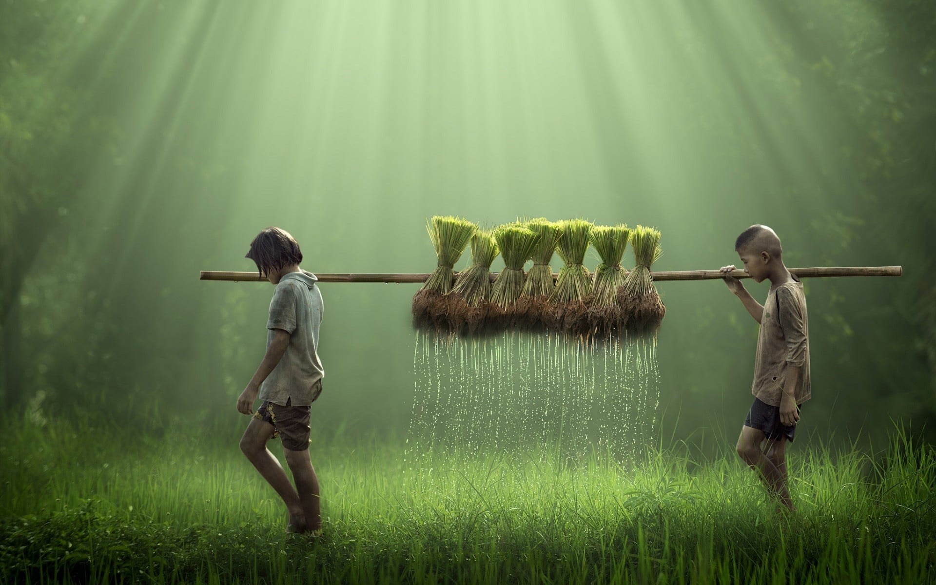 Farming field